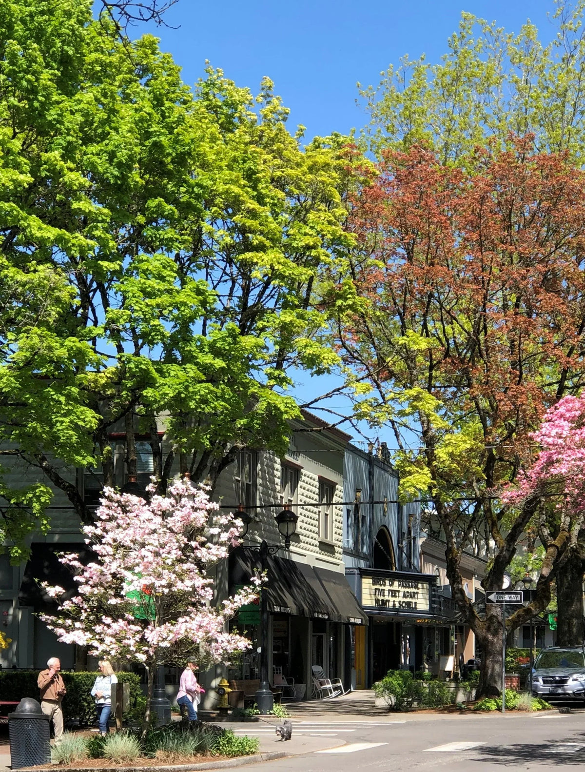 A Day in Downtown Camas, The La Perle Way